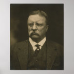 Theodore Roosevelt Portrait by the Pach Brothers Poster