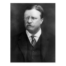Theodore Roosevelt Post Card