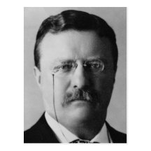 Theodore Roosevelt Post Cards