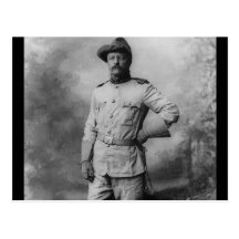 Theodore Roosevelt Postcard