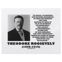 Theodore Roosevelt Waste Destroy Natural Resources Full Color Flyer
