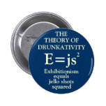 Theory of Drunkativity Pinback Button