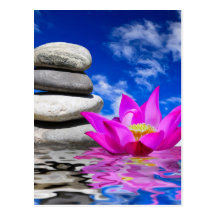 Therapy Rock Stones & Lotus Flower Postcard
