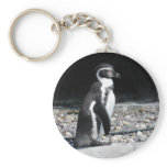 there are my friends! key chains