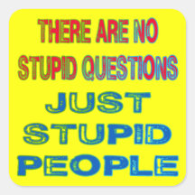 There Are No Stupid Questions Sticker