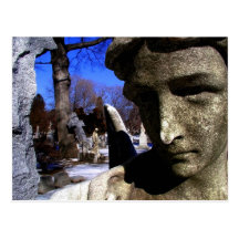 There Goes the Neighbourhood Postcard
