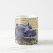 there is a hippo on my mug!
