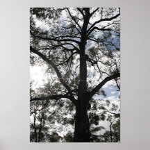 There Is Only Tree Poster