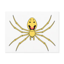 Theridion grallator AKA Happy Face Spider Post Card