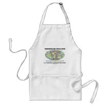 Thermohaline Circulation (Meridional Overturning) Aprons