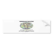 Thermohaline Circulation (Meridional Overturning) Bumper Sticker