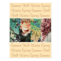 These Quiet Seasons Four Seasons Post Cards