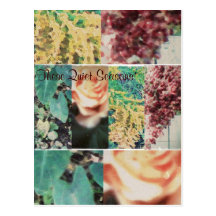 These Quiet Seasons Four Seasons Postcard