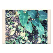 These Quiet Seasons Shade Loving Plants Invites