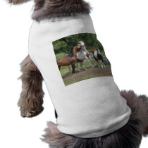 Thethreestooges Pet T Shirt