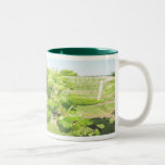 thevinyardmug