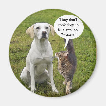 They don't cook Dogs here Fridge Magnets