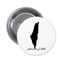 They Told me Palestine Pin