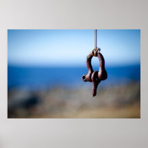 Thing on a string print