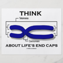Think About Life's End Caps (Telomeres) Flyers