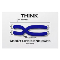 Think About Life's End Caps (Telomeres)