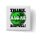 Think algae biofuel!