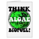 Think algae biofuel! card