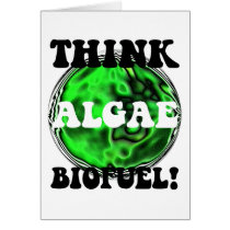 Think algae biofuel!
