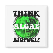 Think algae biofuel!