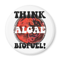 Think algae biofuel magnets