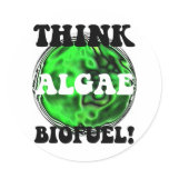 Think algae biofuel! stickers