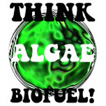 Think algae biofuel! t-shirts