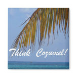 Think Cozumel! Fridge Magnet