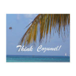 Think Cozumel! Postcard