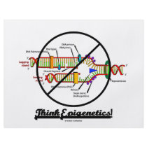 Think Epigenetics! (Cross Out DNA Replication)