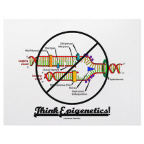 Think Epigenetics! (Cross Out DNA Replication)