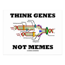 Think Genes Not Memes (DNA Replication) Postcards