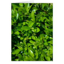 Think Green Greeting Cards