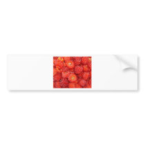 THINK RASPBERRY! BUMPER STICKER