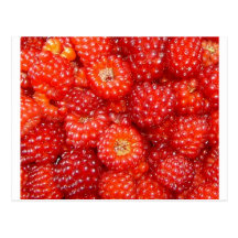THINK RASPBERRY! POST CARDS