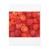 THINK RASPBERRY! POSTCARDS