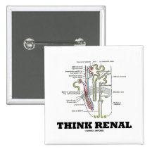 Think Renal (Kidney Nephron) Pinback Buttons