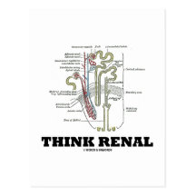 Think Renal (Kidney Nephron) Post Cards