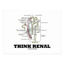 Think Renal (Kidney Nephron) Postcard