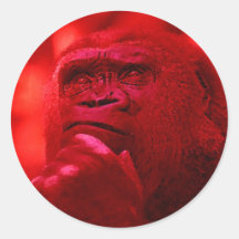 Thinking Gorilla Round Stickers