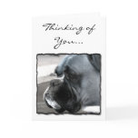 Thinking of You Boxer dog greeting card