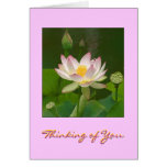 Thinking of You Card