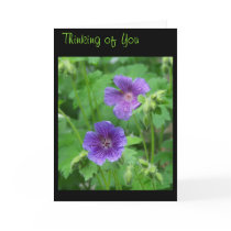Thinking of You Card