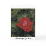 Thinking Of You Greeting Card