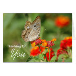 Thinking Of You Card